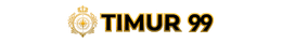 TIMUR99